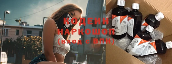 apvp Инсар