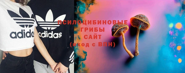 apvp Инсар