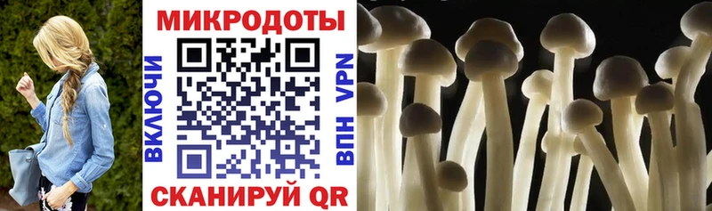 Псилоцибиновые грибы прущие грибы  Купить где  Беломорск 